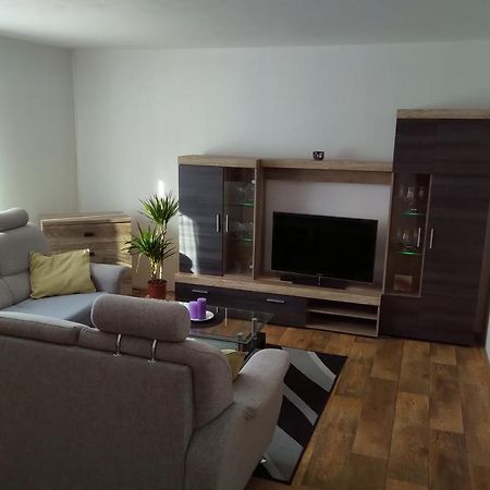 Apartman Pod Rickami Lägenhet Rokytnice v Orlických Horách Exteriör bild
