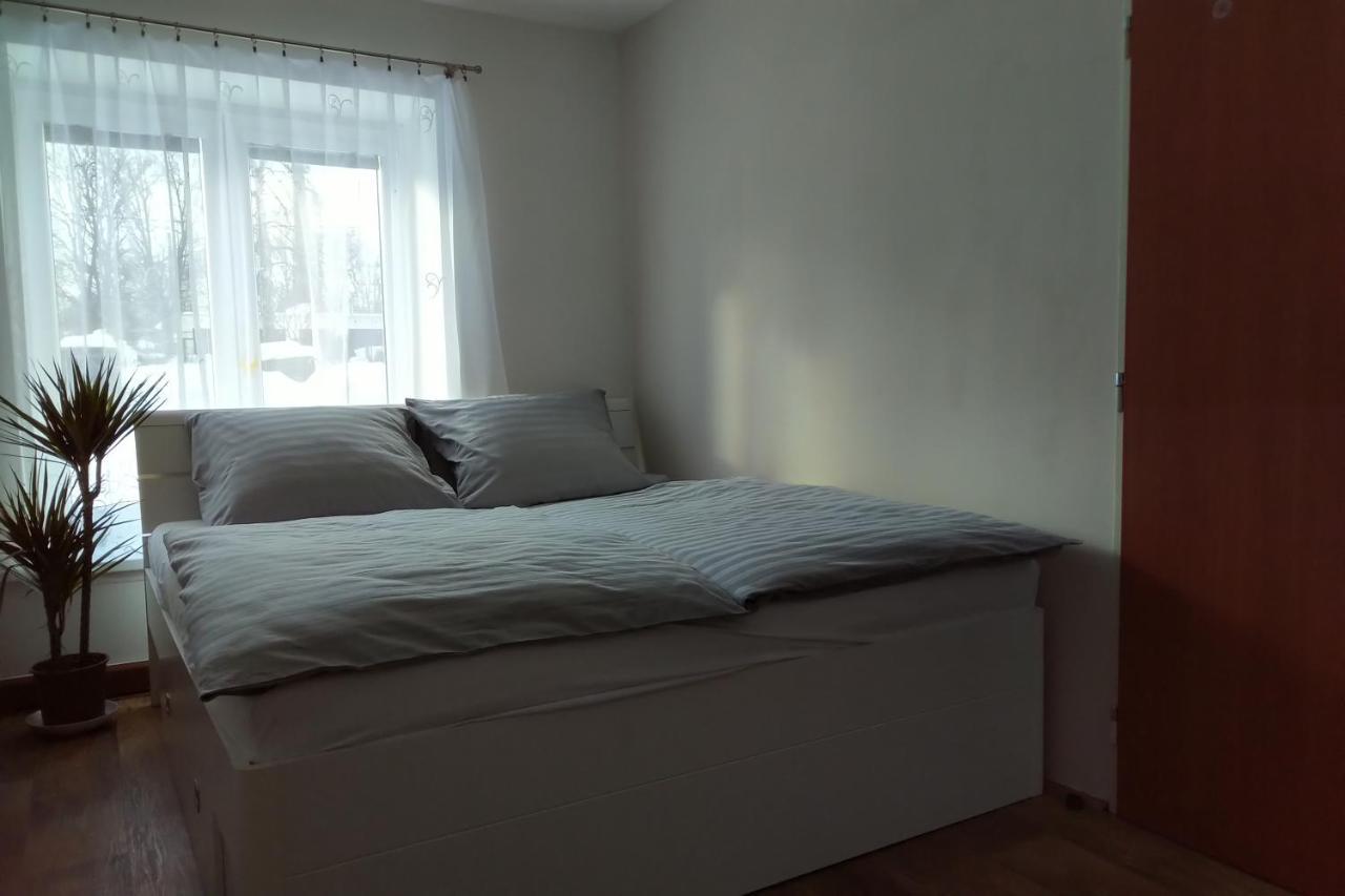 Apartman Pod Rickami Lägenhet Rokytnice v Orlických Horách Exteriör bild