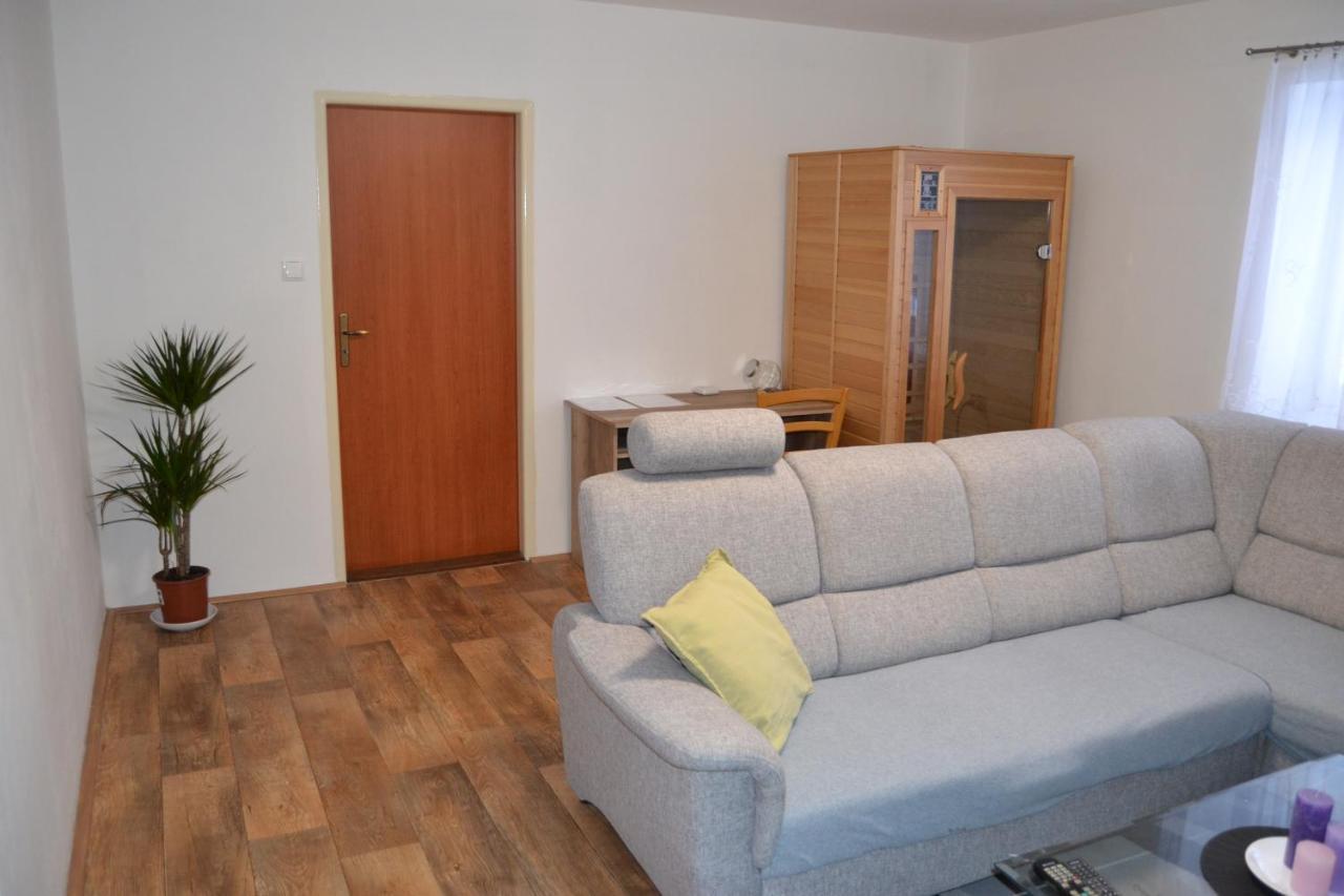 Apartman Pod Rickami Lägenhet Rokytnice v Orlických Horách Exteriör bild